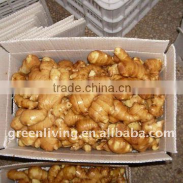 yellow ginger 25kg in plastic