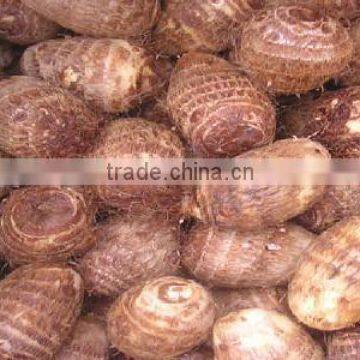 New Arrival China Fresh Taro Low Price High Quality