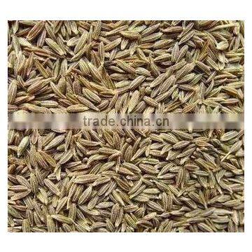 Cumin seeds
