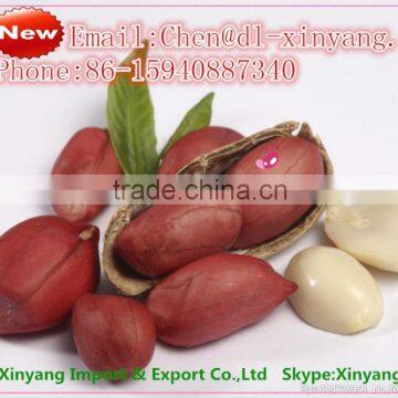 Wholesale China High Quality wholesale peanuts Prices