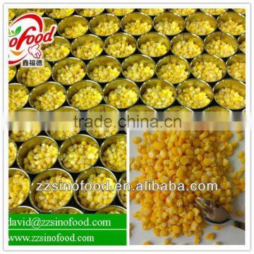 Canned Sweet corn in Brine Factory in China