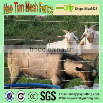 Factory direct sale cattle fence and hinge joint knot field fence mesh for animals & hinge joint field fencing &horse farm fence