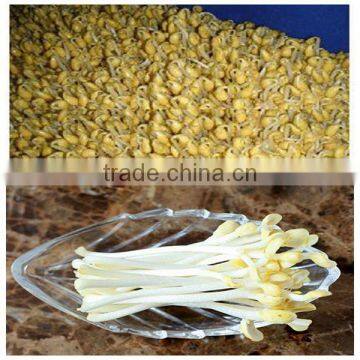 Lowest Price Processing Machine With Best Service photo-2