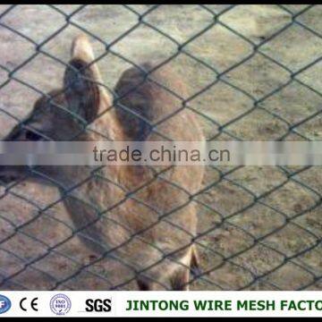 tension band,horse diamond field fence,iron chain link fence