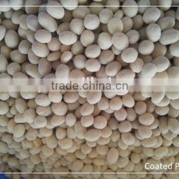 Coated and Flavored Peanut Equipments photo-2