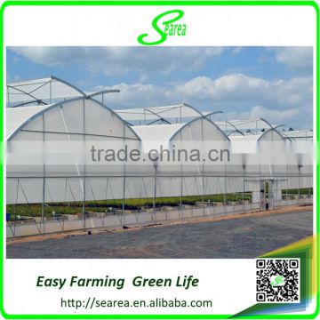 Multispan Tunnel Greenhouse for flower