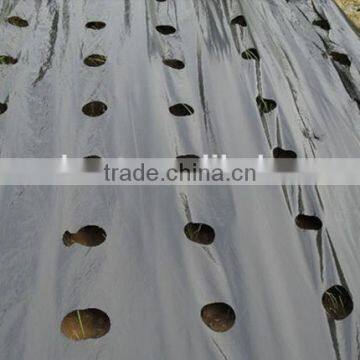 Perforated Black Agricultural Mulch Film for Weed Control photo-4