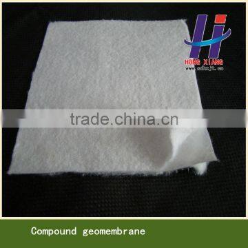 composite geomembrane