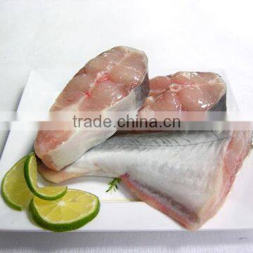 Pangasius Hypophthalmus photo-4