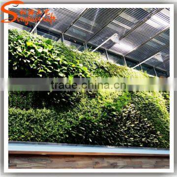 Hot sale vertical wall garden systems materials vertical planter