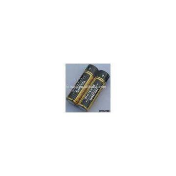 AA alkaline battery