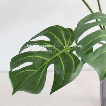High Quality Artificial Plant Photography Props Real Touch Latex Turtle Leaf photo-5