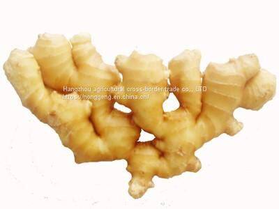 In 2021, With Fresh Ginger photo-5