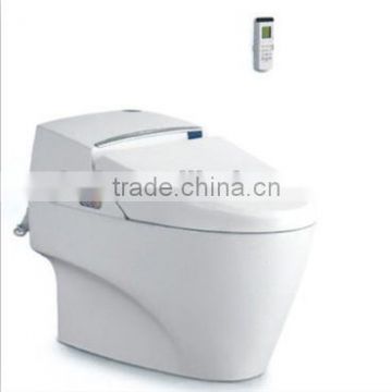 high quality Ceramic Spraying Type Intelligent Toilet