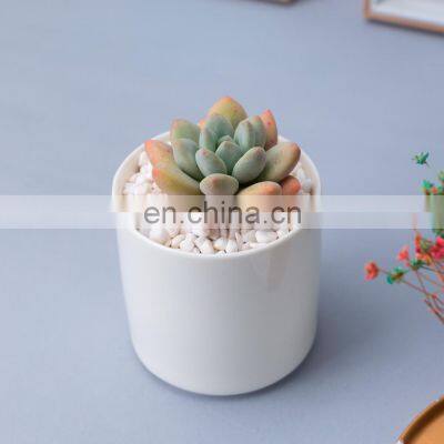 Flower Pots Mini Pottery Wholesale Bonsai Plant Small Indoor Plants Succulent Planter White Ceramic Pot