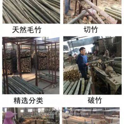 Bamboo Sticks Skewers For Fruits photo-4