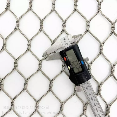 316 316L Zoo/Bird Aviary/Decorative/Anti-Falling/Stainless Steel Flexible Rope Wire Mesh Safety Netting