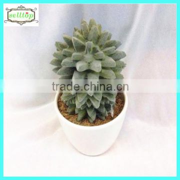 18cm high quality real touch artificial outdoor cactus