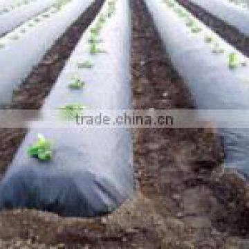 China plastic mulching film supplier