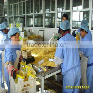 Frozen white glutinous/sticky sweet con cob from factory directly