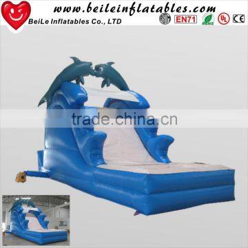 8mL Giant Dolphin Inflatable slide