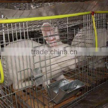 Decorative Rabbit Fencing /rabbit Cages /stainless Steel Welded Wire Fence Producted by China Suppliers photo-4