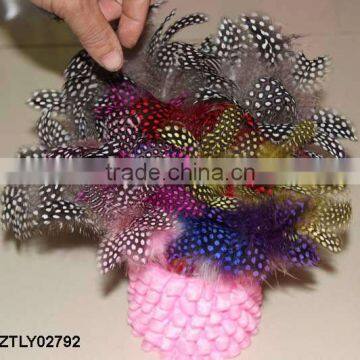 Guinea Fowl wing pen LZTLY02792