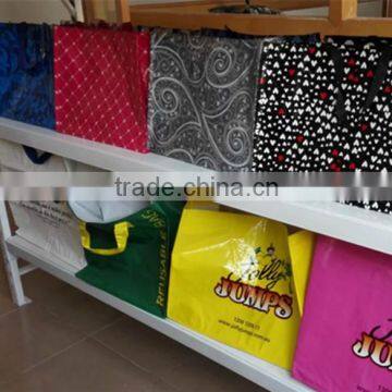 Wholesale Reusable pp Shopping Bag/hand Carry Bag photo-4