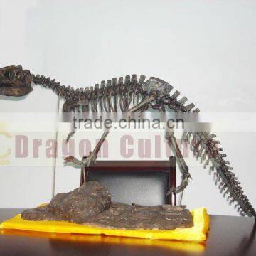 Dinosaur Theme Display Simulation Dinosaur Fossil
