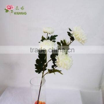 BJ016 5 Heads White Big Chinese Chrysanthemum Flower for Home Decoration photo-2