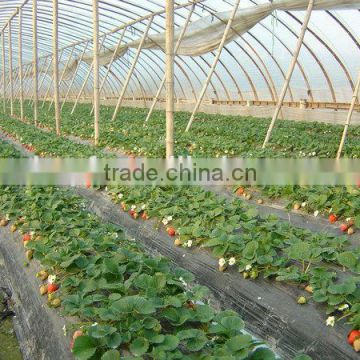 Black/Silver/ White Agriculture Mulching Film high quality