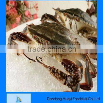 Frozen wholesale live crab