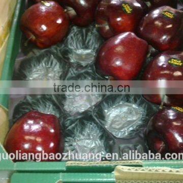 China Supply Free Sample Fruit Plastic Tray Container