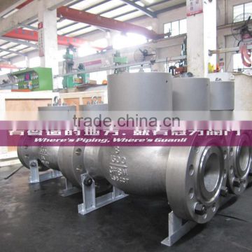 Stainless steel Pressure Sealed Check Valve