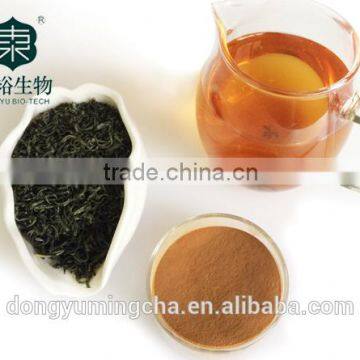 Best Quality and Competitive Price 100% Pure and Natural Organic Green Tea Extract50%-98% photo-2