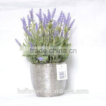 Real touch lavender in ceramic pot for decoration