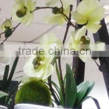 Morden fashion artificial Orchid in ceramic pot