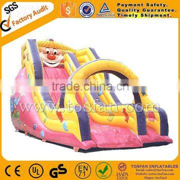 Super Quality Inflatable Slides for Outdoor A4049 photo-5