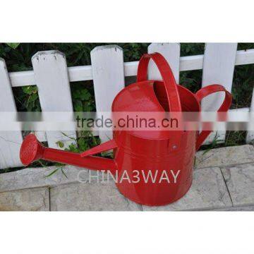 Indoor Flower Watering Pots for Home & Office