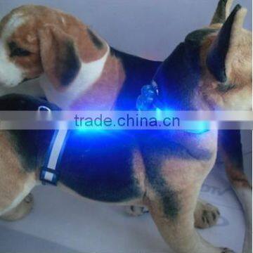 Light up Dog Collar photo-2