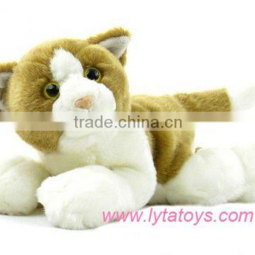 Plush Toys Cat