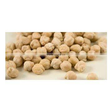 Kabuli Chickpeas