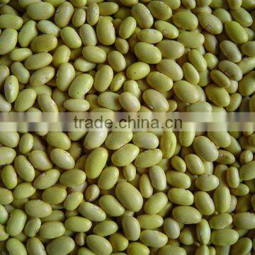 LEGUMES