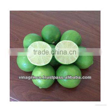 Vietnam Fresh Seedless Lime