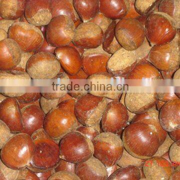 China fresh clean chestnut 2010 origin snack