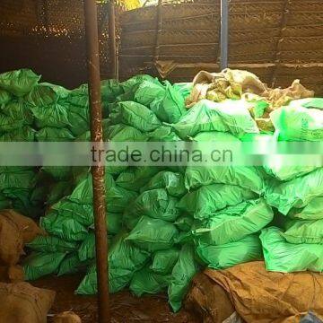 South Indian quality semi husked coconuts for Iran