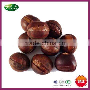 Sell Chinese Frozen Ringent Roasted Chestnuts (IQF)