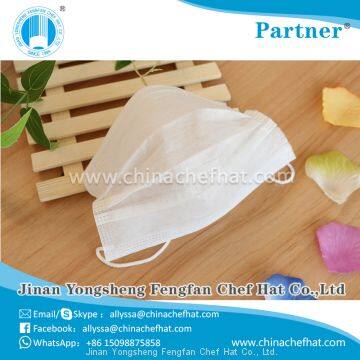 Disposable Earloop two layers Non woven Face Mask