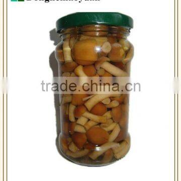 canned nameko mushroom in brine