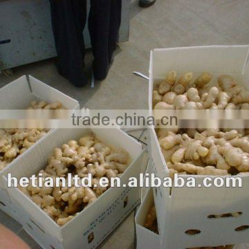 dried skin fresh ginger